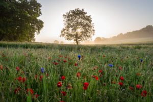 IMG_5943-Bearbeitet-99