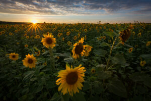 IMG_7877-Bearbeitet-99