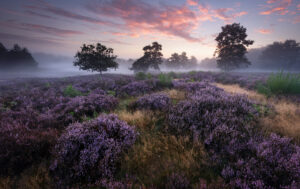 IMG_8505-Bearbeitet-99