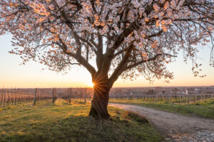 IMR_1344-Bearbeitet-99