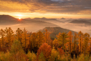 IMR_3426-Bearbeitet-99