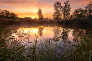 IMR_4202-Bearbeitet-99