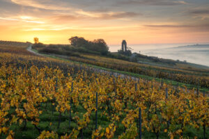 IMR_4840-Bearbeitet-99